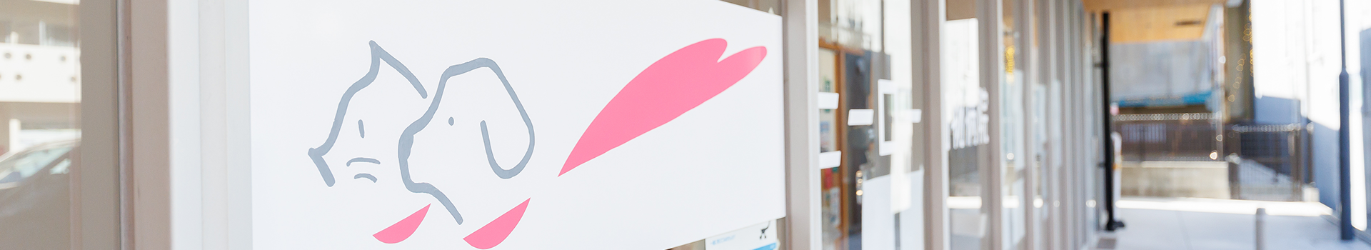 ヒーロー動物病院